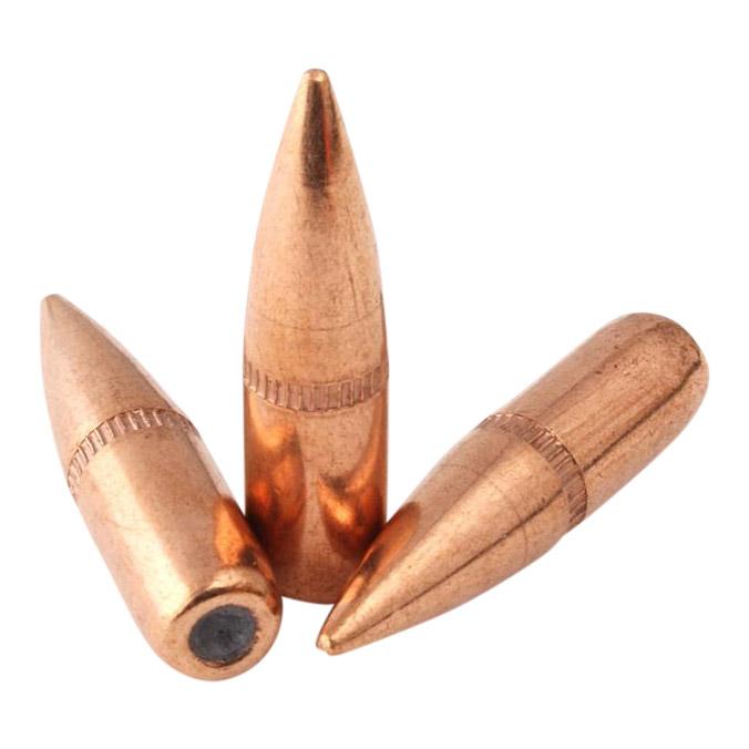 .223 New 62gr SS110